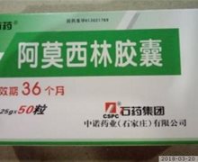 石药阿莫西林胶囊价格对比 0.125g*50粒