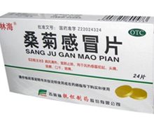 价格对比:桑菊感冒片 24s 吉林省抚松制药