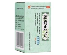 藿香正气丸价格对比 200丸 仙河药业