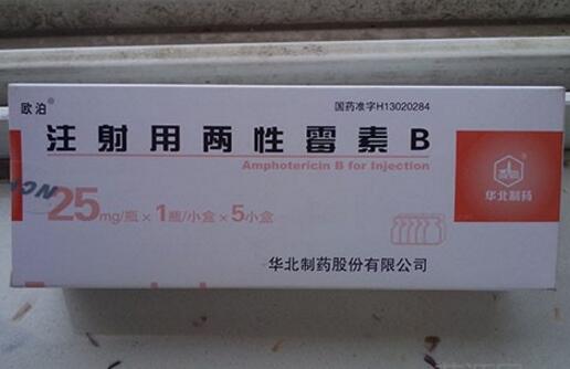 注射用两性霉素B