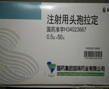 国瑞注射用头孢拉定价格对比 50支