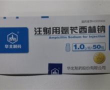 华北制药注射用氨苄西林钠价格对比 1.0g*50瓶