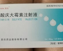 硫酸庆大霉素注射液价格对比 2ml*10支 辰欣药业