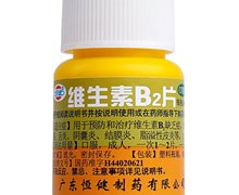 维生素B2片价格对比 100片 恒健制药