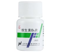 维生素B6片价格对比 100片 华南药业