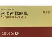 雪上花氨苄西林胶囊价格对比 36粒