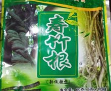 寿竹根植物藤茶是真的吗？