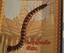 泰国蜈蚣王透气跌打止痛膏是真的吗？