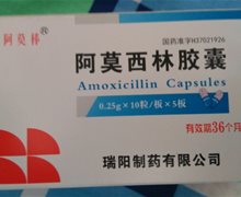 阿莫西林胶囊价格对比 0.25g*50粒 瑞阳制药