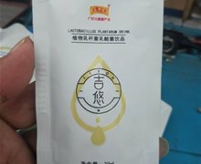 吉悠植物乳杆菌乳酸菌饮品能排脂？王老吉