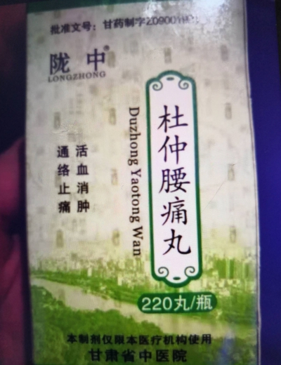 陇中杜仲腰痛丸