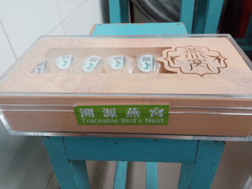 溯源燕窝