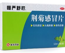 荆菊感冒片(慢严舒柠)价格对比 24片