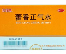 价格对比:藿香正气水 10ml*6支 漳州片仔癀药业