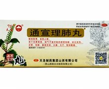 通宣理肺丸价格对比 6g*10丸(大蜜丸) 天圣制药集团山西