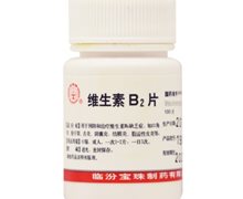 维生素B2片价格对比 100片 临汾宝珠