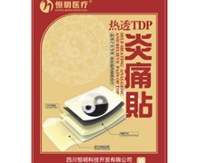 恒明医疗热透TDP炎痛贴价格对比 TDP-B80 2贴