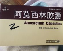 天力可致阿莫西林胶囊价格对比 30粒