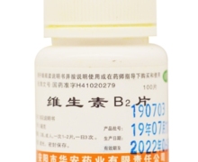 维生素B2片价格对比 100片 华安药业