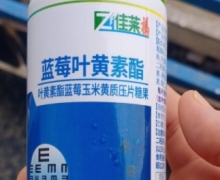 佳莱福叶黄素酯蓝莓玉米黄质压片糖果是真吗？