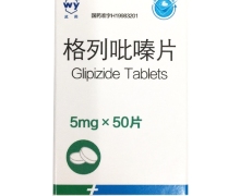 格列吡嗪片价格对比 50片 远大医药(中国)