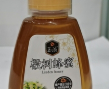 玉液椴树蜂蜜价格对比 500g