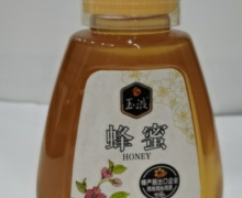 玉液蜂蜜价格对比 500g