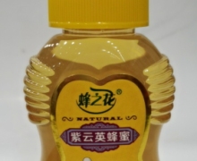 蜂之花紫云英蜂蜜价格对比 500g 尖嘴扁瓶