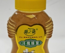蜂之花洋槐蜂蜜价格对比 500g 尖嘴扁瓶