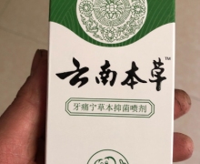 澳德力康云南本草牙痛宁草本抑菌喷剂是真的吗？