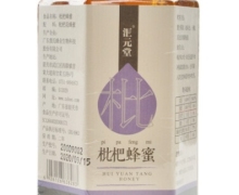 汇元堂枇杷蜂蜜价格对比 500g