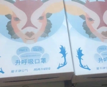升呼吸口罩医用防护口罩是真的吗？
