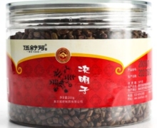 伍舒芳决明子价格对比 200g