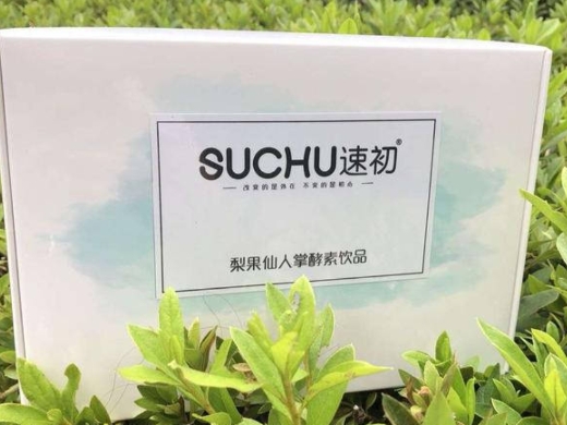 速初梨果仙人掌酵素饮品