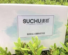 速初梨果仙人掌酵素饮品真伪？