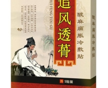 追风透蓇酸麻痛胀冷敷贴价格对比 4贴