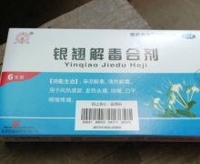 价格对比:银翘解毒合剂 10ml*6支 北京长城制药厂