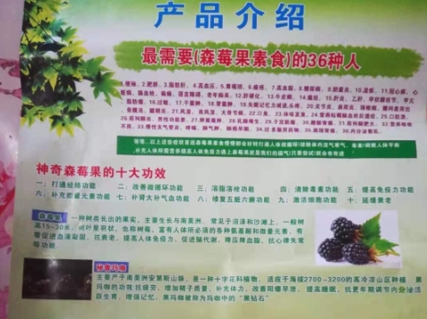 神奇森莓果素食