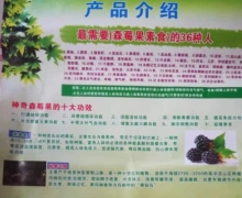 神奇森莓果素食是真的吗？