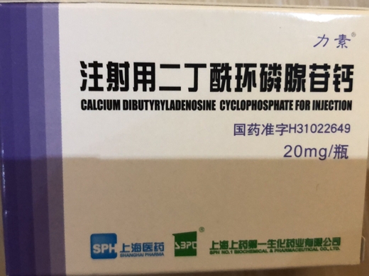 注射用二丁酰环磷腺苷钙
