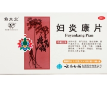 药圣堂妇炎康片价格对比 0.52g*108片