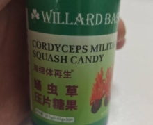 广州康莱海绵体再生蛹虫草压片糖果是真的吗？
