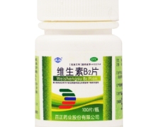 维生素B2片价格对比 100片 百正药业