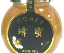 蜂海土蜂蜂蜜价格对比 480g