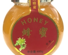 蜂海枣花蜂蜜价格对比 480g