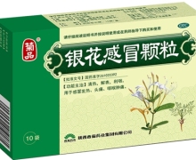 菊品银花感冒颗粒价格对比 10g*10袋