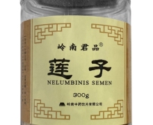 岭南君品莲子价格对比 300g