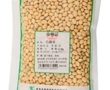 仙翁送宝白扁豆价格对比 500g
