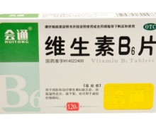 会通维生素B6片价格对比 120片