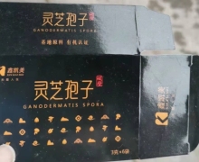 鑫凯美破壁灵芝孢子怎么样？